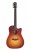 Green Dc-SR Sunburst LR Baggs SPE.jpg