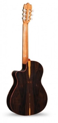 Alhambra Iberia Ziricote CTW E8 2.jpg