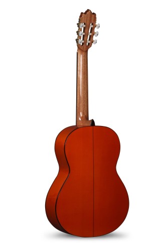 Alhambra 4F Pickguard  2.jpg