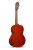 Alhambra 4F Pickguard  2.jpg