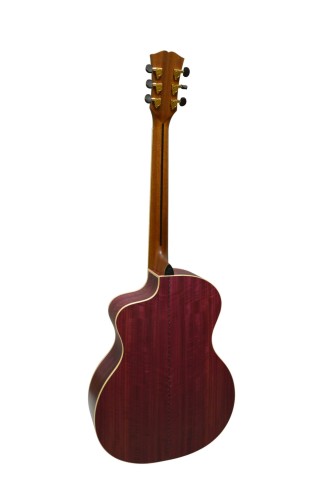 Dowina Purple Heart GAC  2.jpg