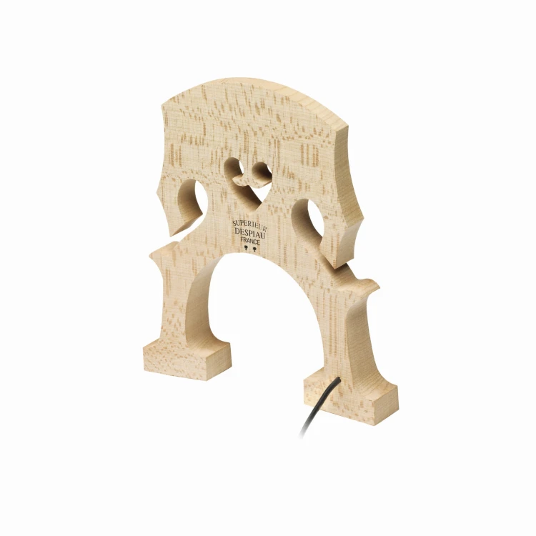 Fishman PRO-C20-0CE.jpg