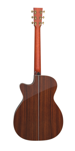 Furch Vintage II OMc-SR  2.png