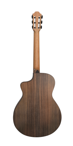 Furch Grand Nylon GNc 2-SW 2.png