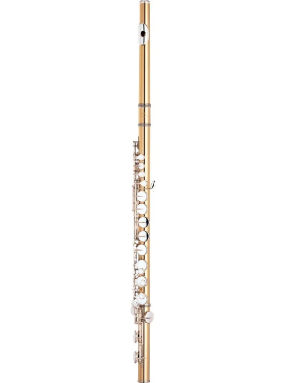 Yamaha YFL-A421.jpg