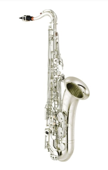 Yamaha YTS-480S.jpg
