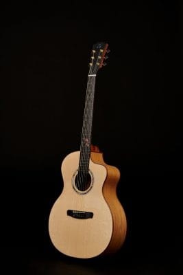 Dowina DUB GAC-ds 2.jpg