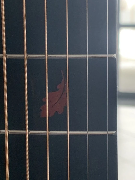 furch rainbow d-sp 4.jpg