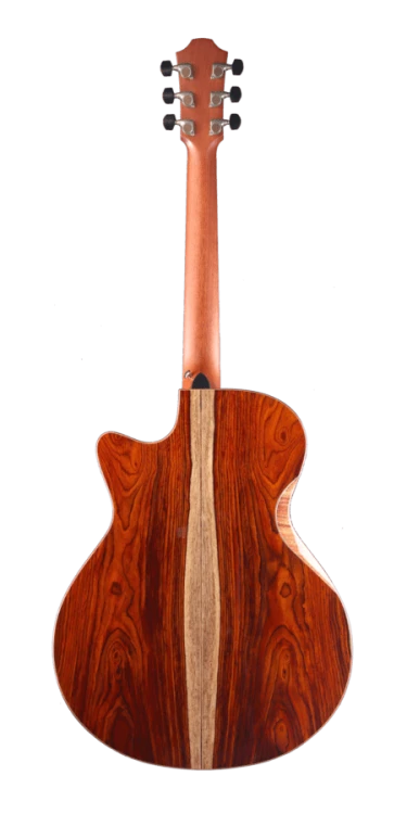 Furch Red Deluxe Gc-LC LR Baggs SPA  2.png