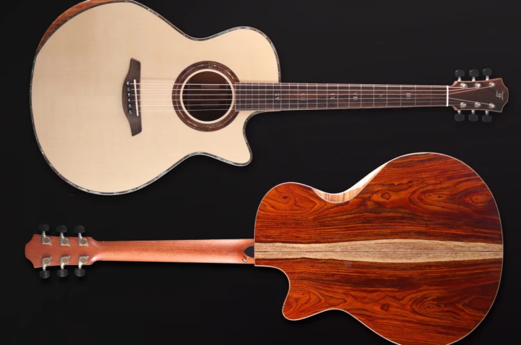 Furch Red Deluxe Gc-LC LR Baggs SPA  7.jpg