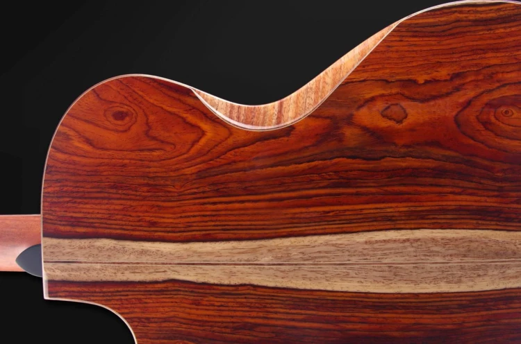 Furch Red Deluxe Gc-LC LR Baggs SPA  8.jpg