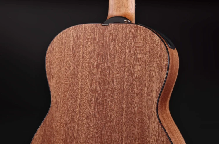 Furch Little Jane LJ 10-CM 7.jpg