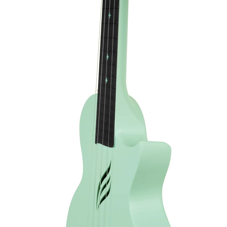 Cascha HH 2287 9.jpg