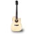 Furch Yellow Gc-CR 12-string SPA.jpg
