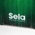 Sela SE 053 Varios Green Cajon 7.jpg