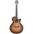 Dowina GACE-LB LR Baggs SPE.jpg