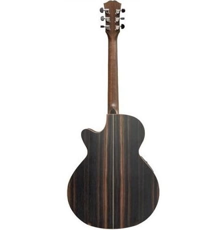 Dowina GACE-LB LR Baggs SPE 2.jpg