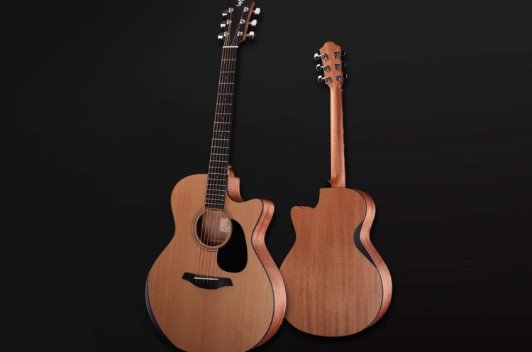 Furch Blue Deluxe Dc-CM 4.jpg