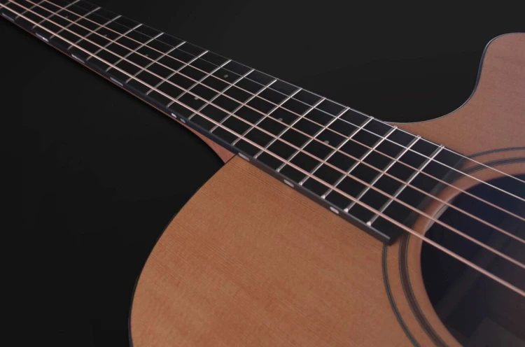 Furch Blue Deluxe Dc-CM 14.jpg