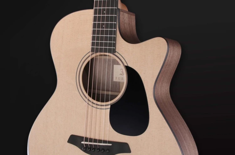 Furch Blue Deluxe Gc-SW 5.jpg