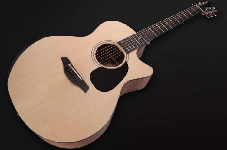 Furch Blue Deluxe Gc-SW 9.jpg