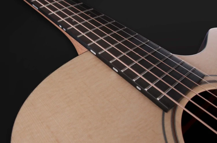 Furch Blue Deluxe Gc-SW 11.jpg