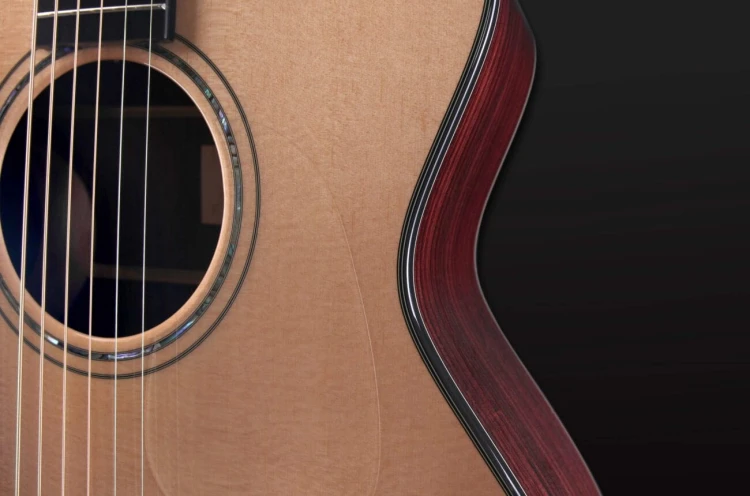 Furch Yellow Deluxe Gc-SR 14.jpg