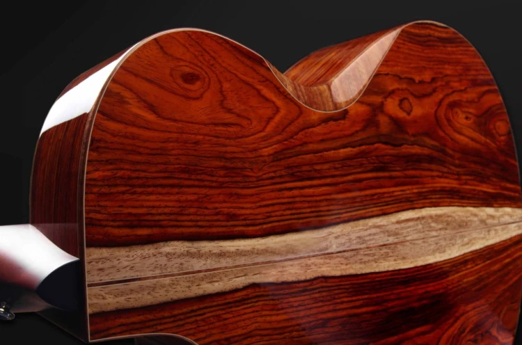 Furch Red Deluxe Gc-LC LR Baggs SPA  10.jpg