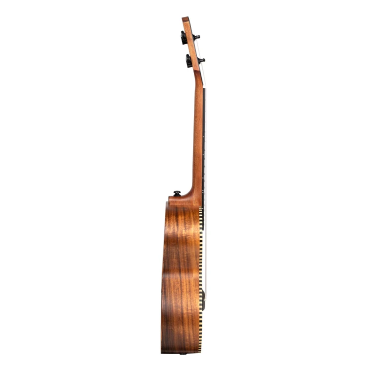 Cascha HH 2310 4.jpg
