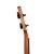 Cascha HH 2310 7.jpg