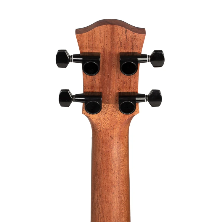 Cascha HH 2310 8.jpg