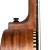 Cascha HH 2310 10.jpg