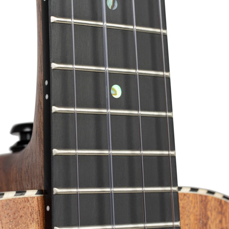 Cascha HH 2310 13.jpg
