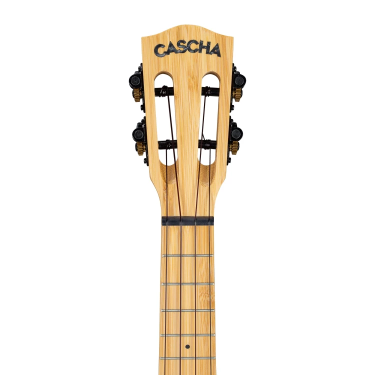 Cascha HH 2314 5.jpg