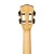 Cascha HH 2314 6.jpg