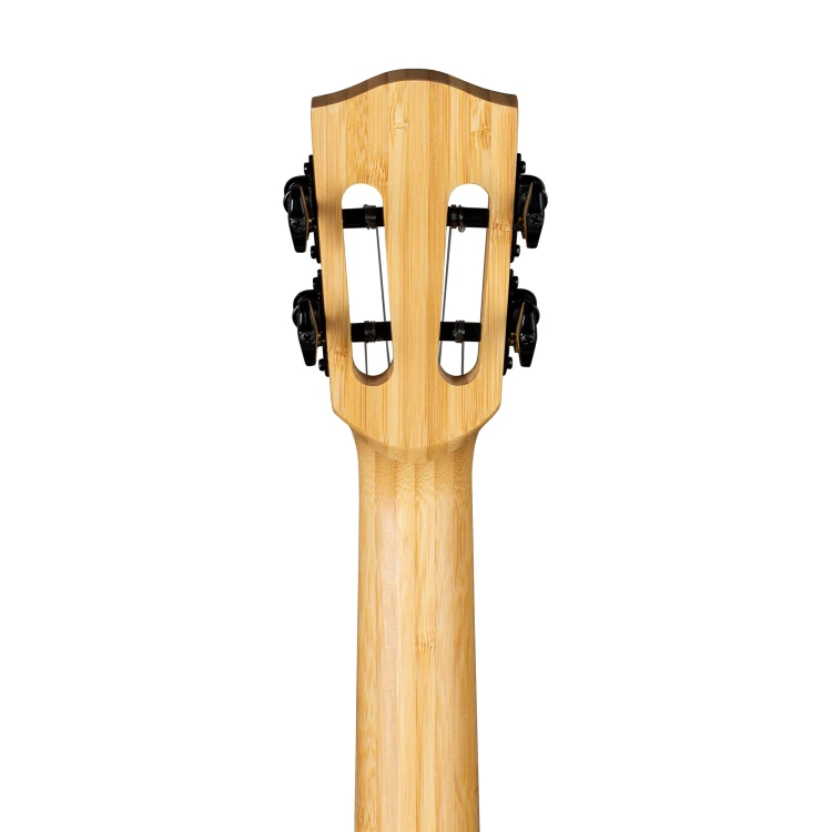 Cascha HH 2314 6.jpg
