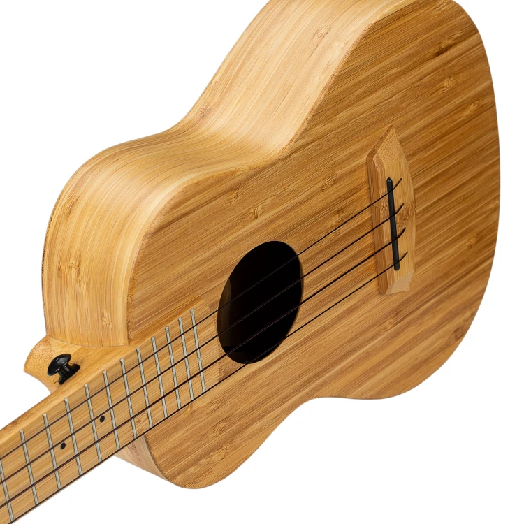 Cascha HH 2314 8.jpg
