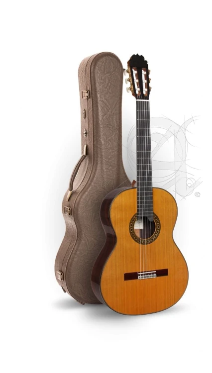 Alhambra Luthier India Montcabrer 3.jpg