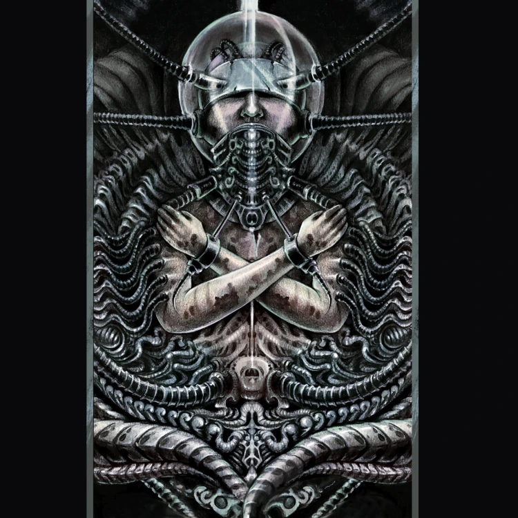 RightOn Straps Mojo SEVEN 6.jpg