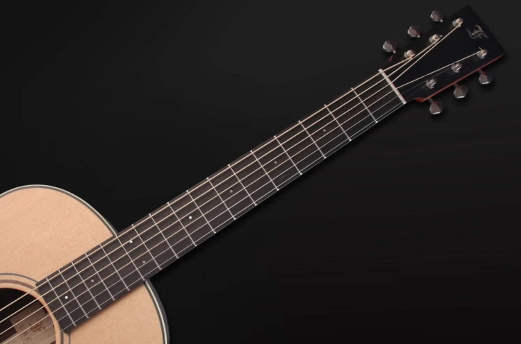 Furch Vintage 1 D-SR 10.jpg
