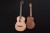 Furch Little Jane LJ 10-CM 4.jpg