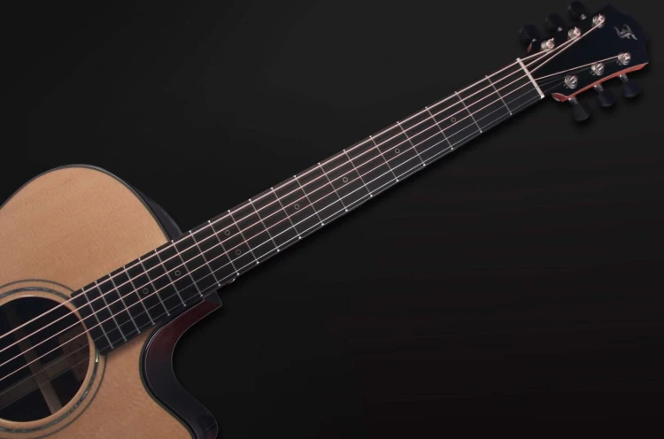 Furch Yellow Deluxe Gc-SR 12.jpg