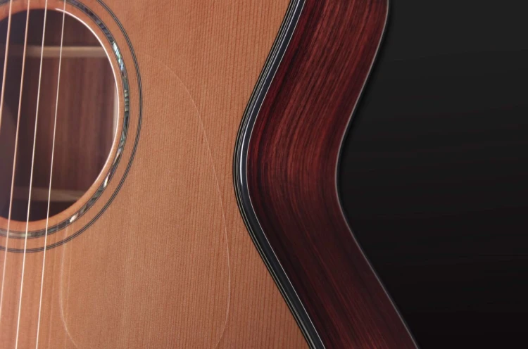 Furch Yellow Deluxe Gc-CR 9.jpg