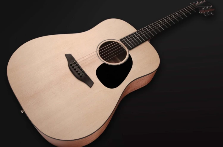 Furch Violet D-SM 5.jpg