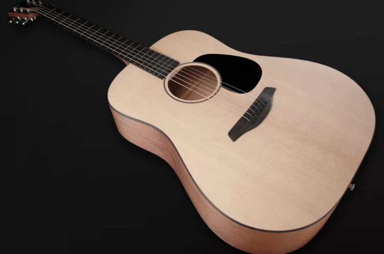 Furch Violet D-SM 6.jpg