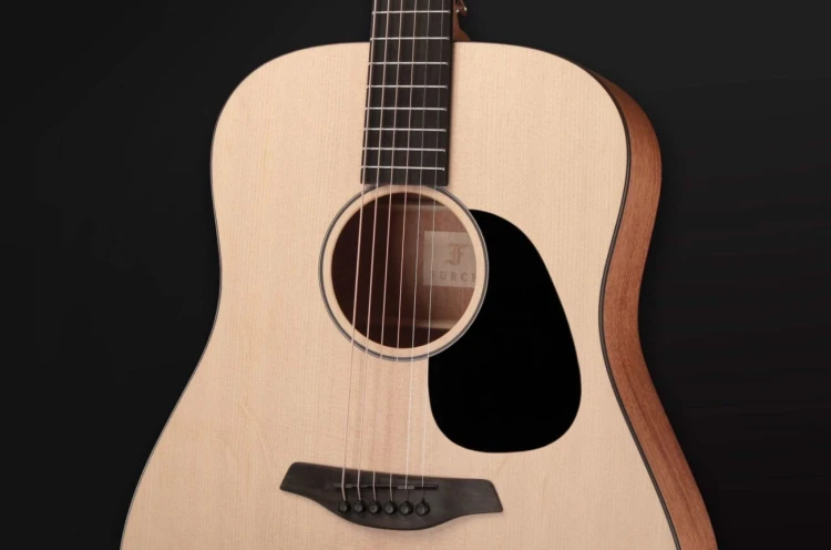 Furch Violet D-SM 9.jpg