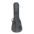 RGC3-L-EGR_1.png