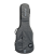 RGC3-E-EGR_1.png