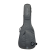 RGC3-D-EGR_1.png