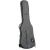 RGC3-B-EGR_2.png